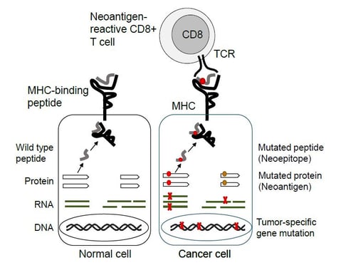 QUickSwitch_NeoAntigen2