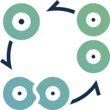 cell-cycle